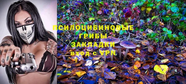 a pvp Гусь-Хрустальный