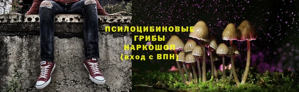 соль курить ск Гусев