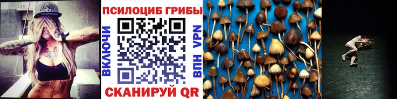 Купить  Павловский Посад  Псилоцибиновые грибы Magic Shrooms 